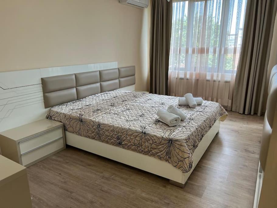 Cozy Apartment - Free Parking プロヴディフ エクステリア 写真