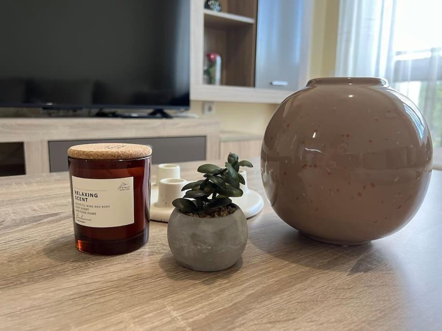 Cozy Apartment - Free Parking プロヴディフ エクステリア 写真